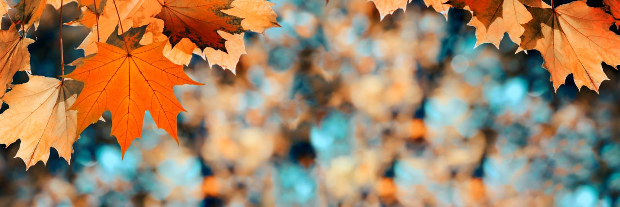 🍁September v našej škôlke🍁