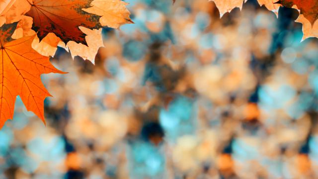 🍁September v našej škôlke🍁